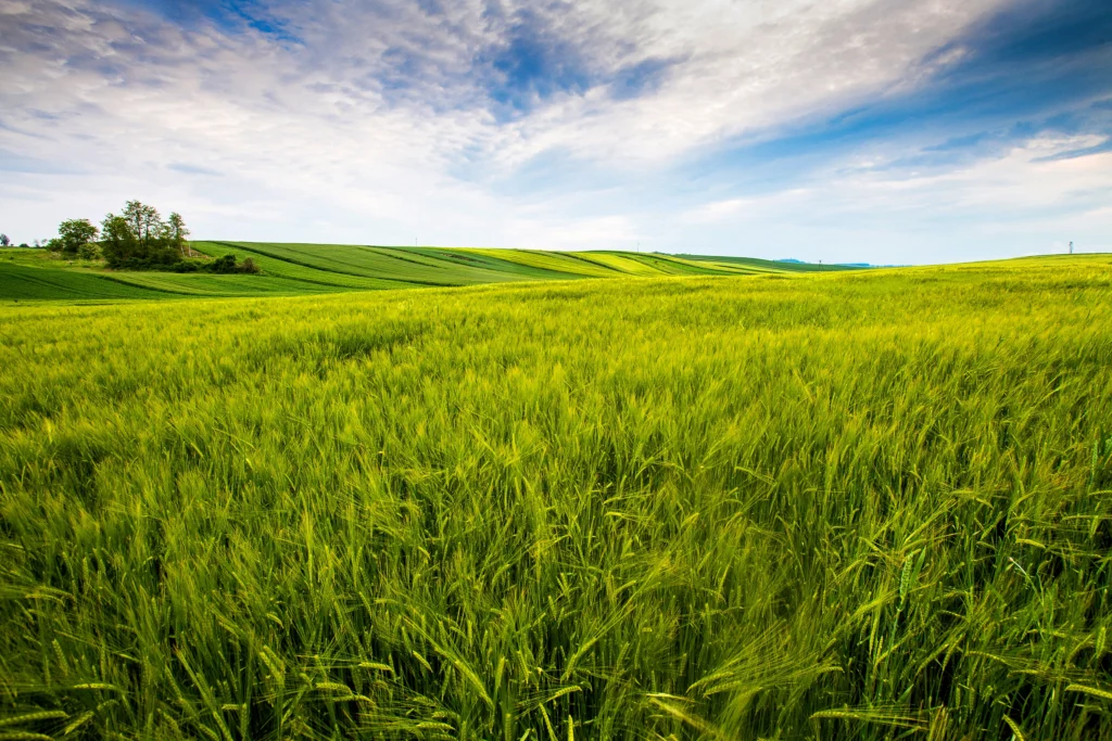 Agriculture
